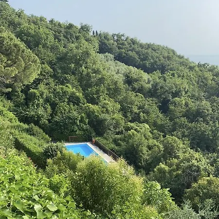 Conca Degli Ulivi * Torri Del Benaco